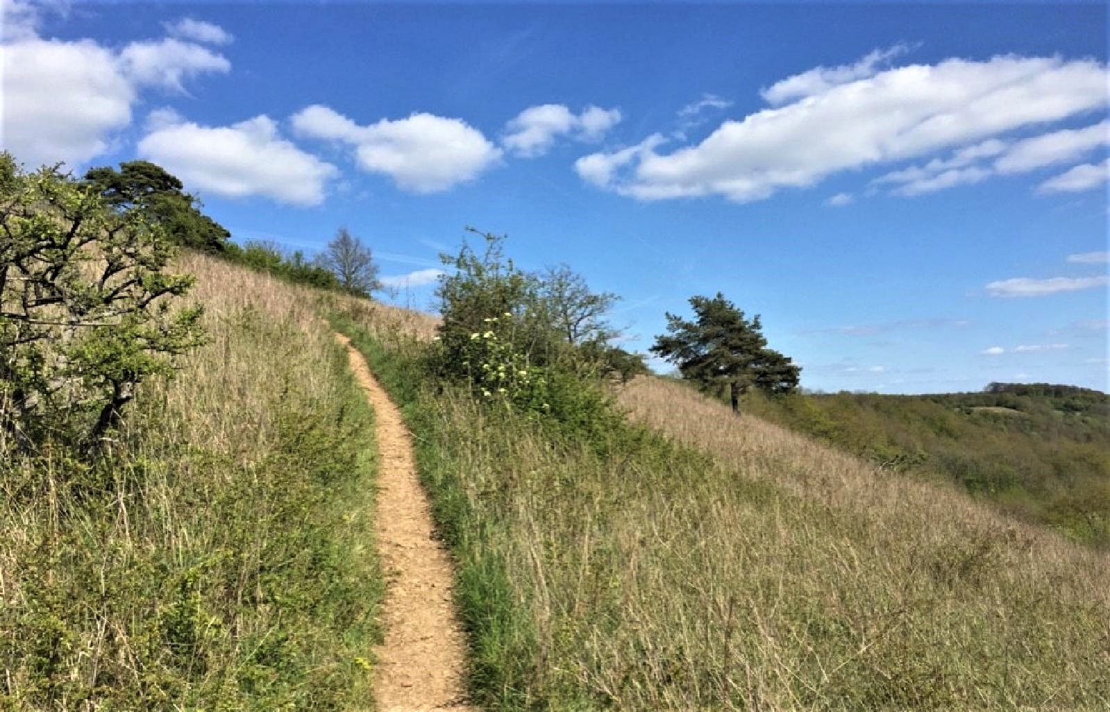 Circuit du Hammelsberg sur les hauteurs de Perl ANPVC