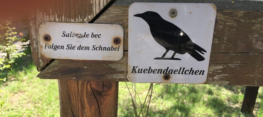 Kuebendällchen