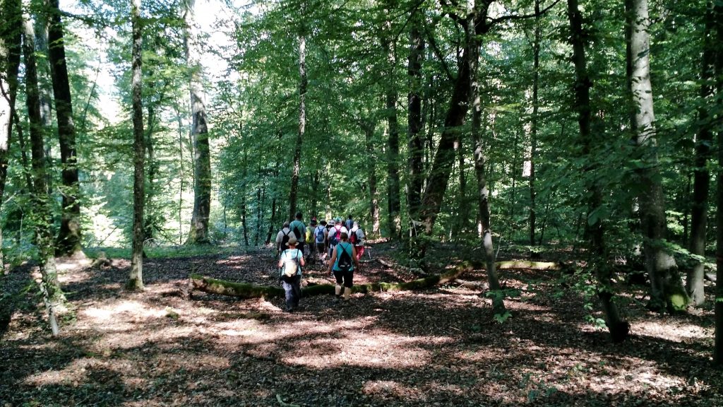 Charleville sous Bois 3