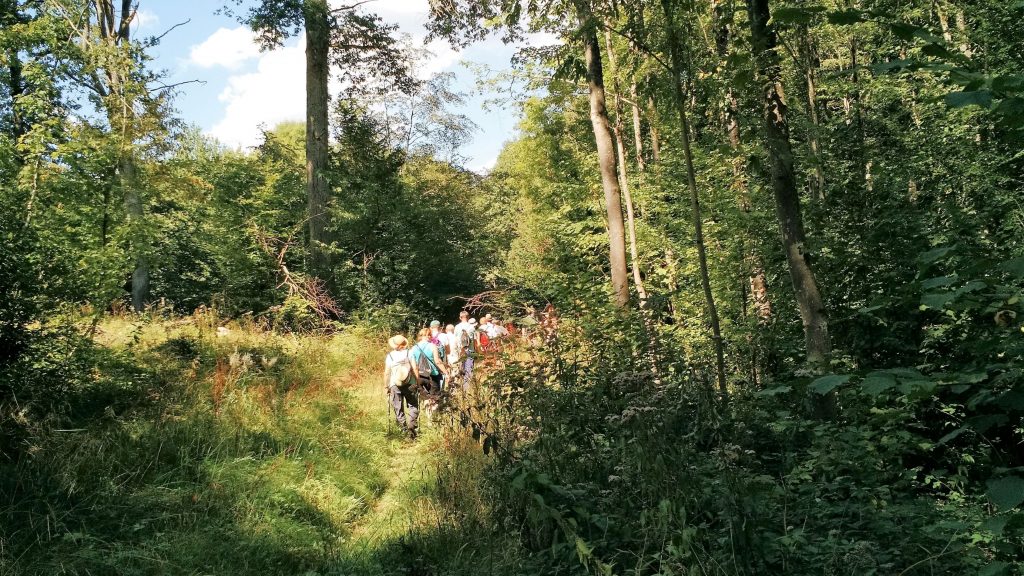 Charleville sous bois (4)