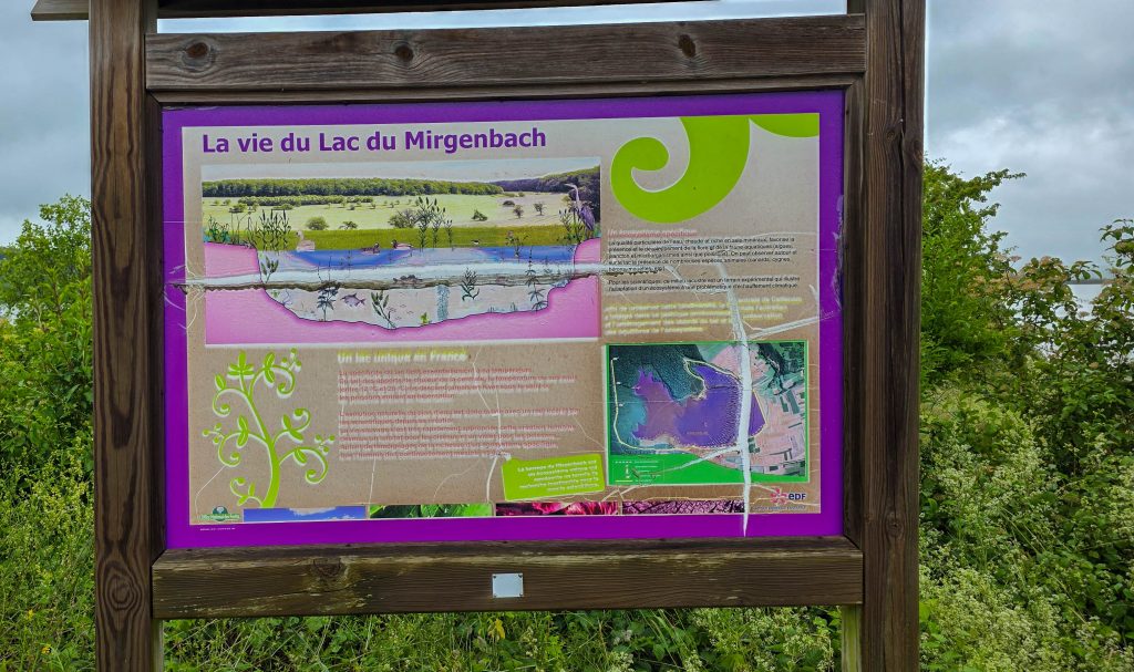MIRGENBACH-39