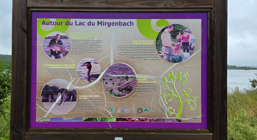 MIRGENBACH-40