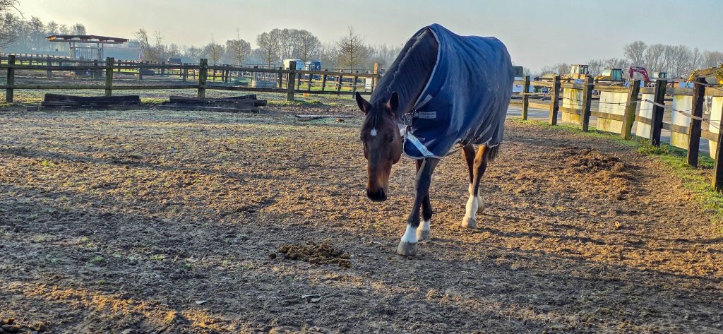 argancy découverte 2026-03-04