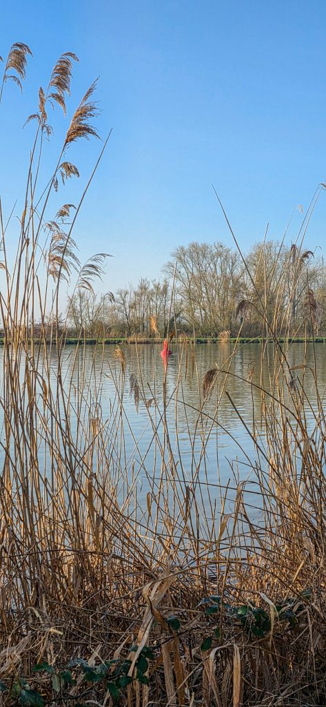 argancy découverte 2026-03-04-14