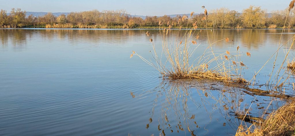 argancy découverte 2026-03-04-18