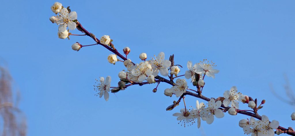 argancy découverte 2026-03-04-21