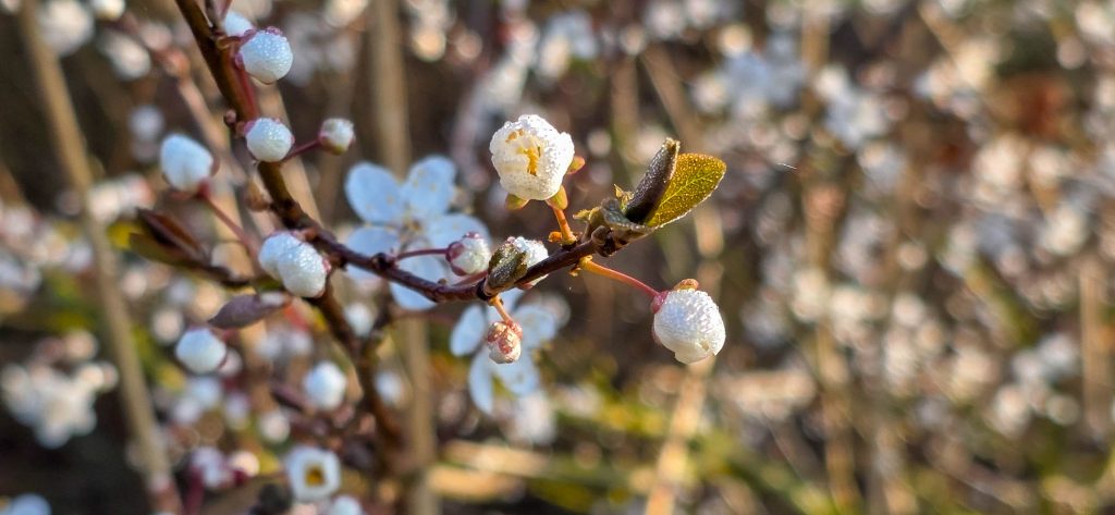 argancy découverte 2026-03-04-23
