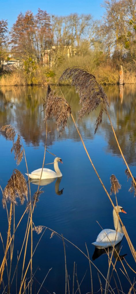 argancy découverte 2026-03-04-36