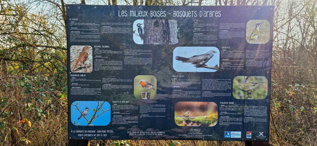 argancy découverte 2026-03-04-41