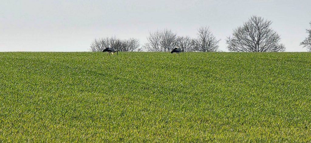 argancy découverte 2026-03-04-54