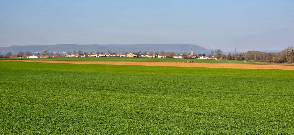 argancy découverte 2026-03-04-57