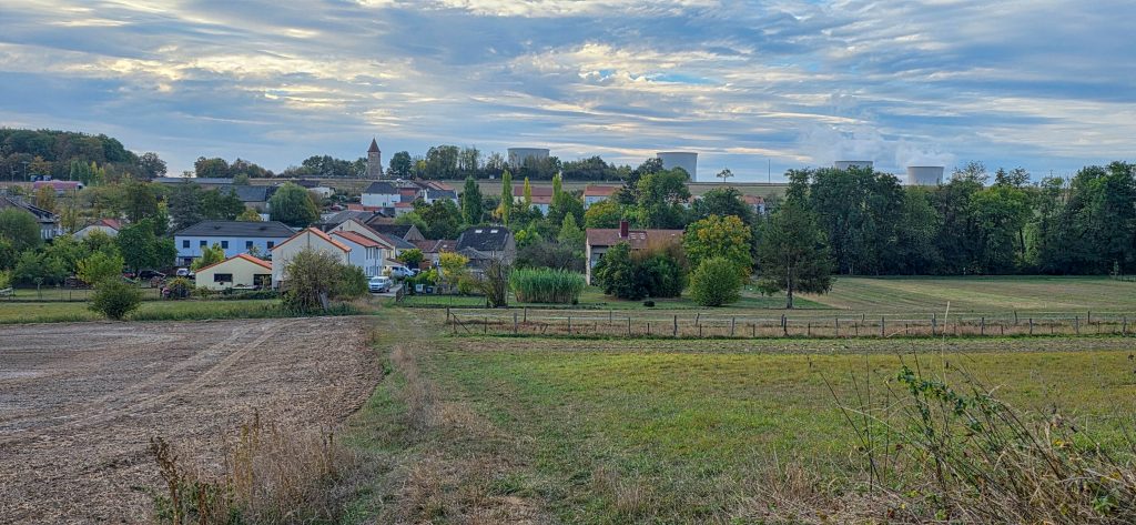 DECOUVERTE BOUST-24